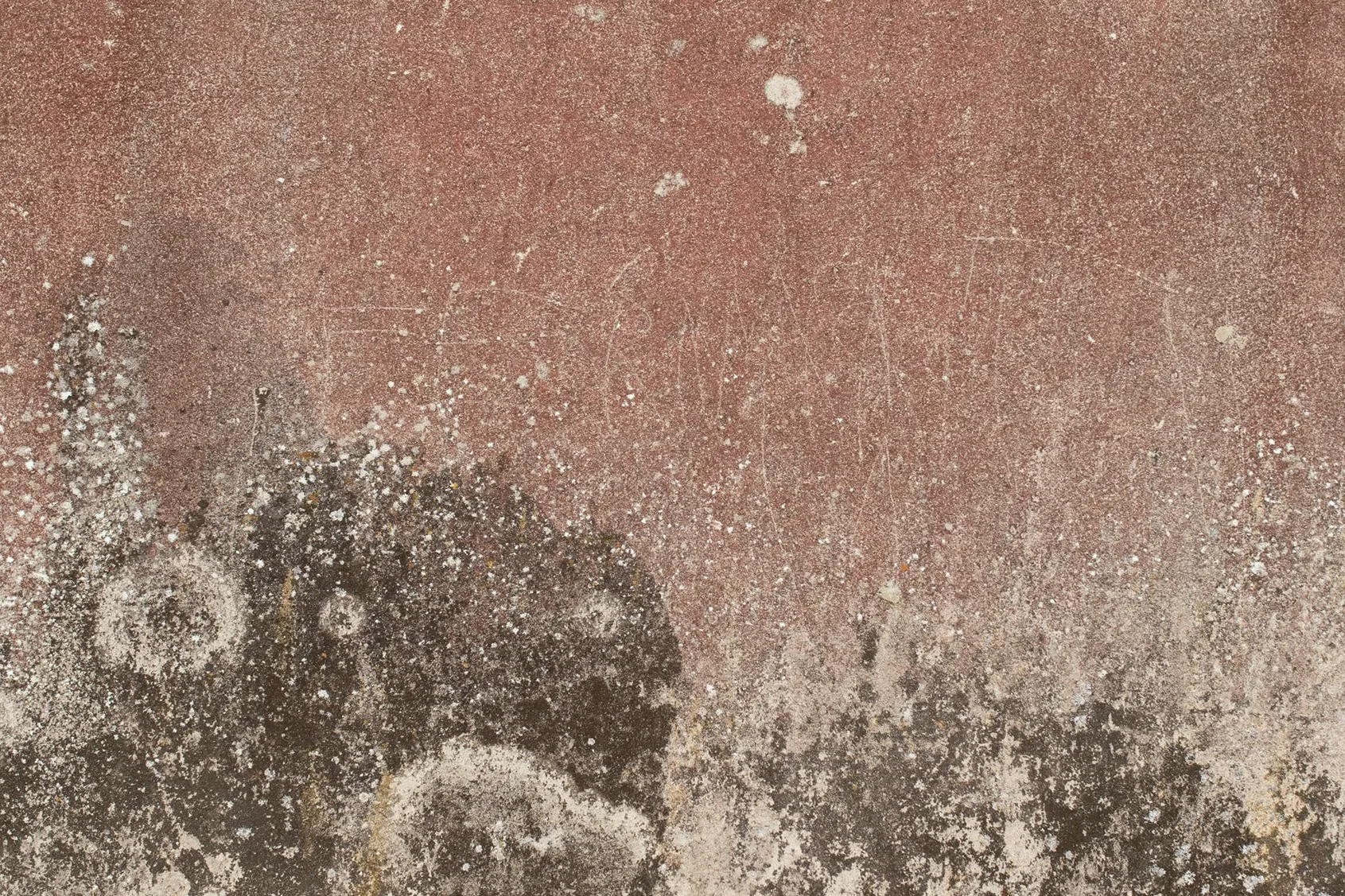 Humedades por capilaridad en Getxo: pide presupuesto. Base de un muro con humedad ascendente y pintura deteriorada