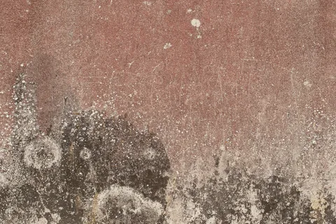 Humedades por capilaridad en Getxo: pide presupuesto. Base de un muro con humedad ascendente y pintura deteriorada