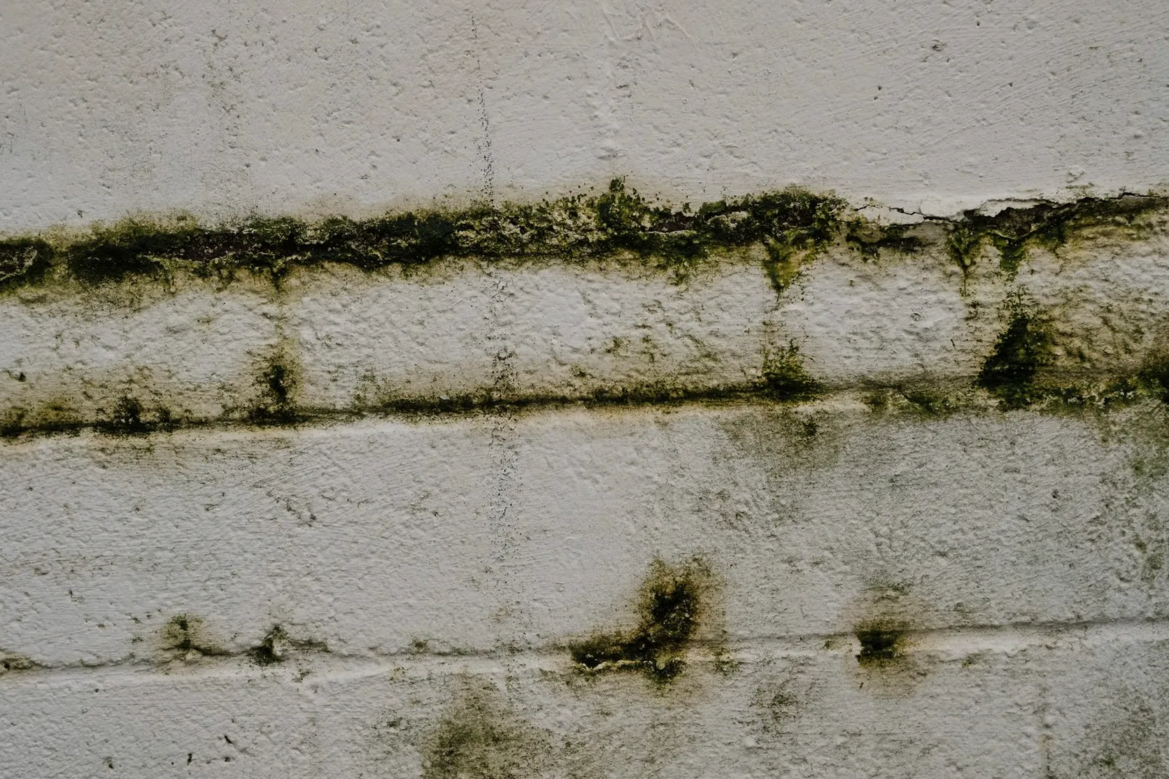 Impermeabilización de sótanos en Getxo: pide presupuesto. Muro de bloque con manchas de humedad y moho